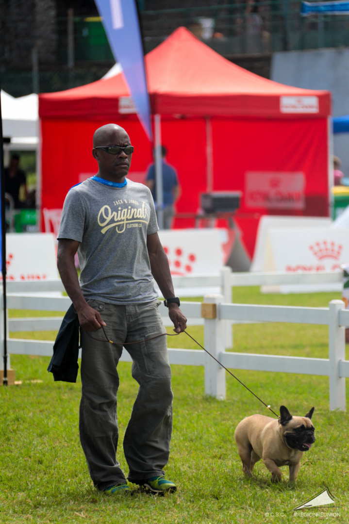 Exposition Canine Nationale de Trois-Bassins Exposition Canine Nationale de Trois-Bassins