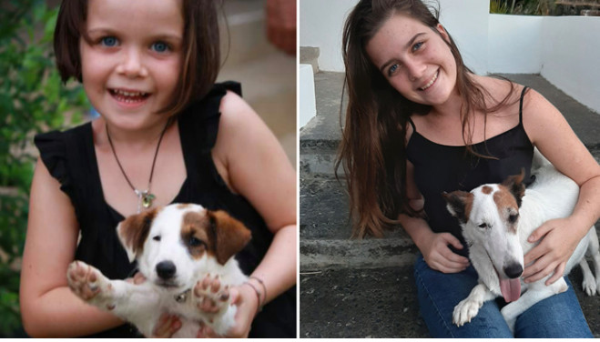 Perdu de vue pendant 7 ans : une famille retrouve son chien par miracle