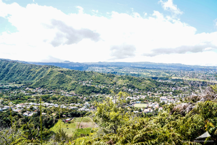 Pandathlon 2019 Pandathlon 2019