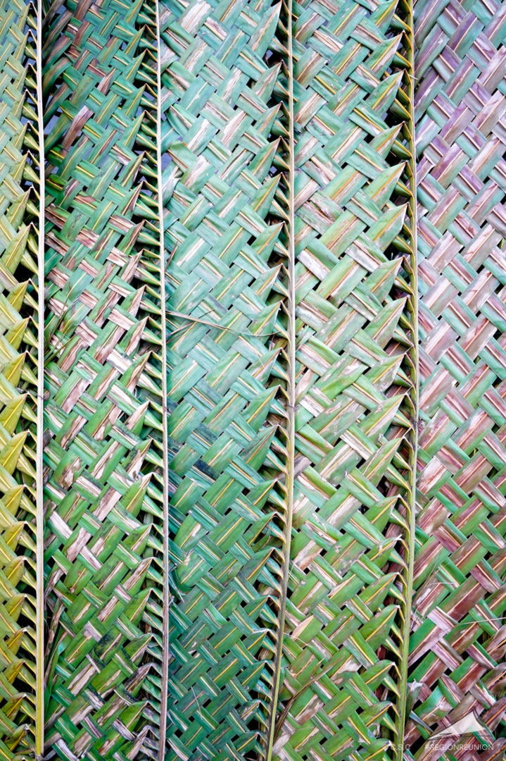 Somen Kréol 2019 - Retour en images Somen Kréol 2019 - Retour en images