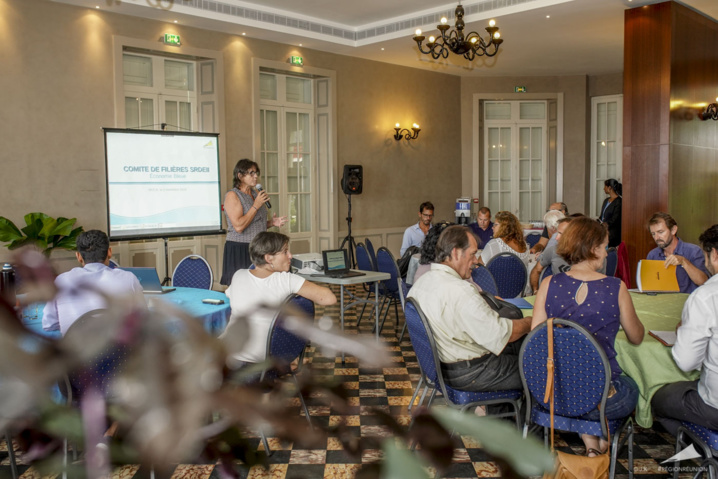 La Région Réunion pilote du SRDEII : Comité de filière de l’Economie Bleue La Région Réunion pilote du SRDEII : Comité de filière de l’Economie Bleue