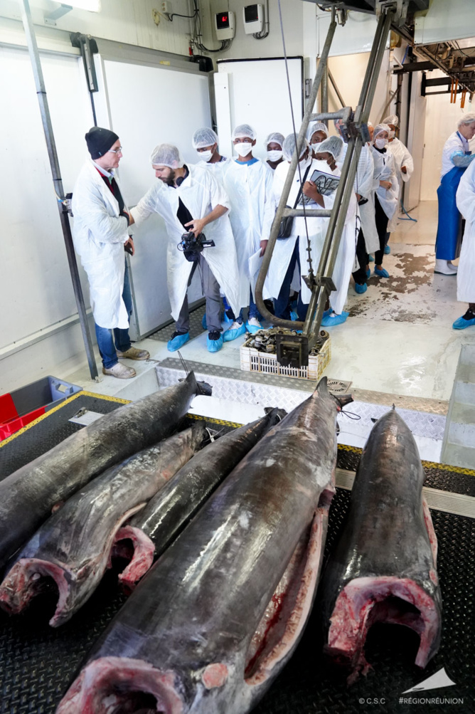 Développement des produits Péi dans la restauration scolaire Développement des produits Péi dans la restauration scolaire