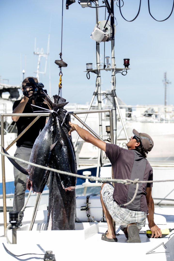 Développement des produits Péi dans la restauration scolaire Développement des produits Péi dans la restauration scolaire
