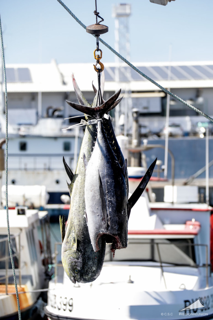 Développement des produits Péi dans la restauration scolaire Développement des produits Péi dans la restauration scolaire