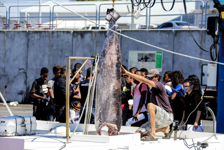 Développement des produits Péi dans la restauration scolaire Développement des produits Péi dans la restauration scolaire