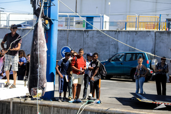 Développement des produits Péi dans la restauration scolaire Développement des produits Péi dans la restauration scolaire