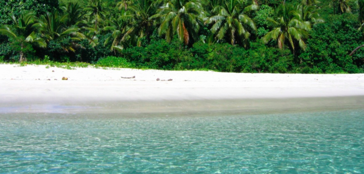 Koh-Lanta: ils ont frôlé le gros problème dans la nouvelle saison Koh-Lanta: ils ont frôlé le gros problème dans la nouvelle saison