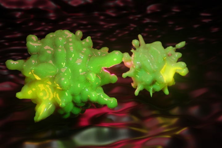 Quand le Coronavirus se fait passer pour la dengue... Quand le Coronavirus se fait passer pour la dengue...