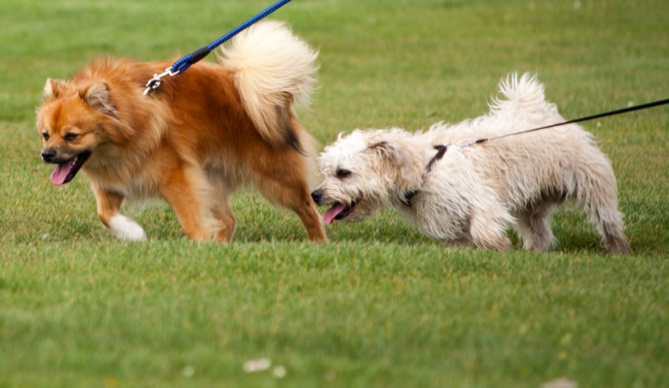 Photo d'illustration Photo d'illustration