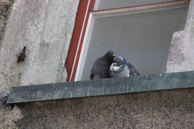 Découvert mort chez lui, sa mort datait de plus de 6 ans ! Découvert mort chez lui, sa mort datait de plus de 6 ans !
