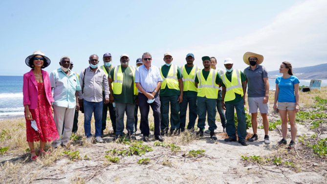 La Région, le CEDTM, Kélonia et les Emplois Verts réhabilitent des sites de ponte de tortues marines