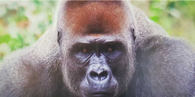 Photo d'illustration