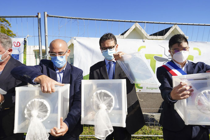 Opération de lâchers de moustiques dans le cadre du projet TIS Opération de lâchers de moustiques dans le cadre du projet TIS