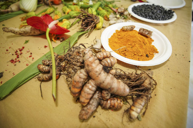 La Sominn Kréol - Lycée Léon Lepervanche La Sominn Kréol - Lycée Léon Lepervanche