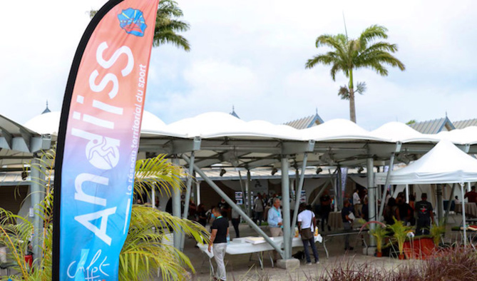 La Journée d’Etude Régionale ANDIISS Run 974 La Journée d’Etude Régionale ANDIISS Run 974