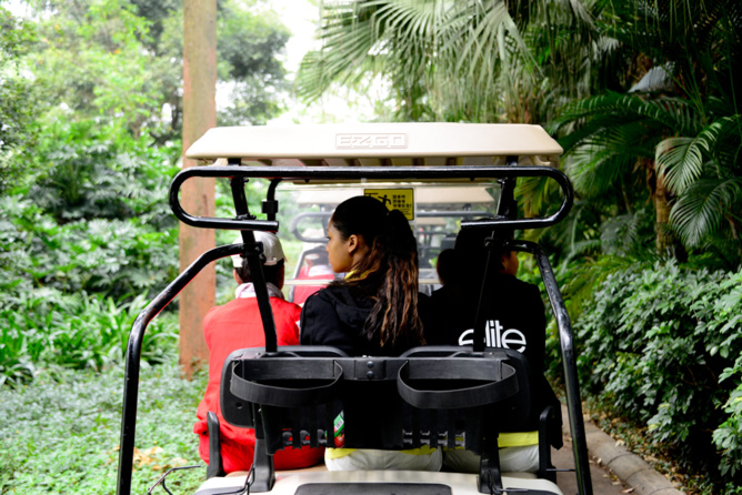 Les joies du golf Les joies du golf
