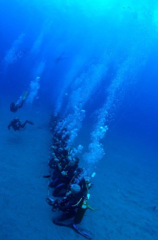Record de chaîne humaine sous l'eau!