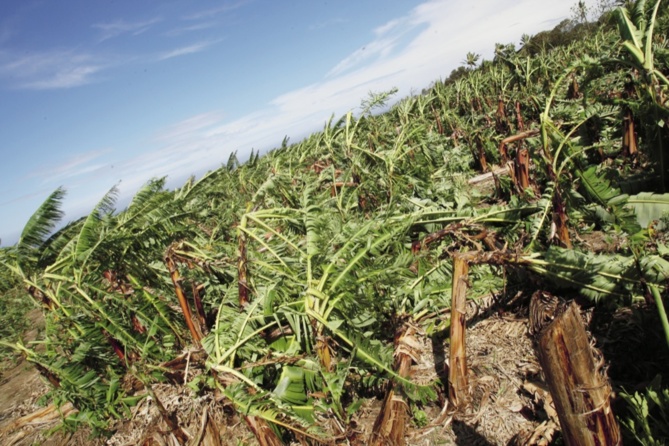 La Banque de la Réunion solidaire de l’agriculture La Banque de la Réunion solidaire de l’agriculture