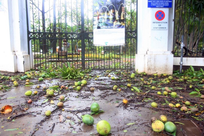 La Banque de la Réunion solidaire de l’agriculture La Banque de la Réunion solidaire de l’agriculture