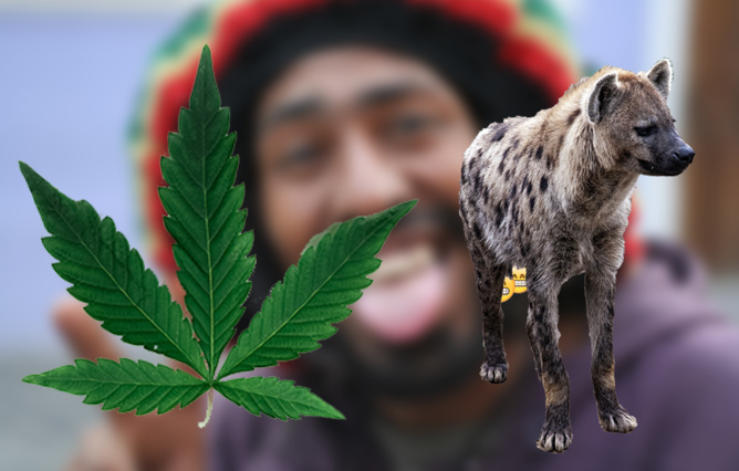 Montage original 7mag.re - images d'illustration Pexel Montage original 7mag.re - images d'illustration Pexel