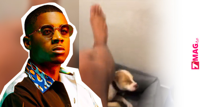 Le rapeur Timal se filme en train de battre son chien Le rapeur Timal se filme en train de battre son chien