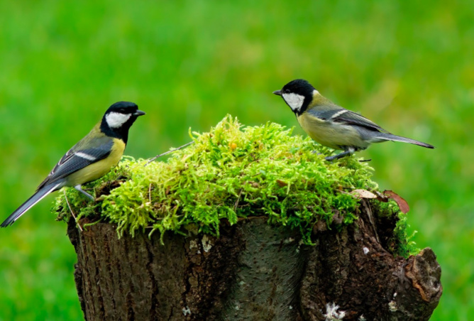 Le millionnaire quitte sa femme pour la réfugiée ukrainienne que le couple héberge Le millionnaire quitte sa femme pour la réfugiée ukrainienne que le couple héberge