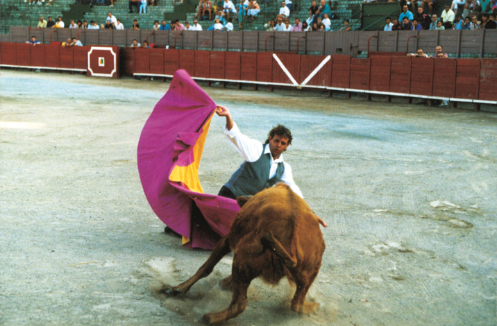 Alain Genin, directeur général de Nicollin Réunion Alain Genin, directeur général de Nicollin Réunion