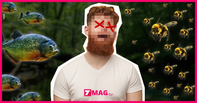 Dévoré par des piranhas après avoir essayé d'échapper à un essaim d'abeilles Dévoré par des piranhas après avoir essayé d'échapper à un essaim d'abeilles