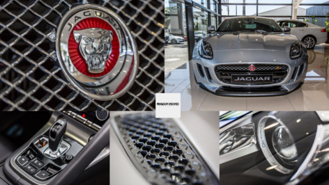 Jaguar à la Réunion Jaguar à la Réunion