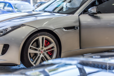 Jaguar à la Réunion Jaguar à la Réunion