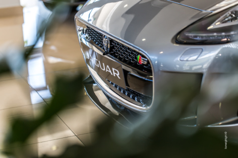 Jaguar à la Réunion Jaguar à la Réunion