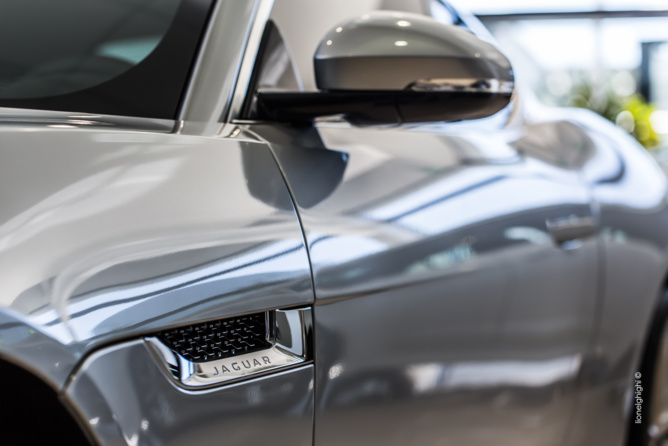 Jaguar à la Réunion Jaguar à la Réunion