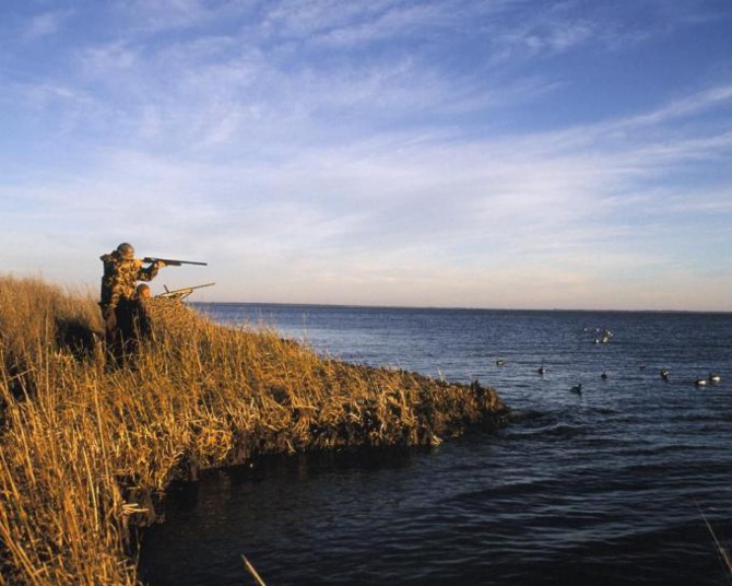 Photo par Dr F. Eugene Hester, USFWS de Pixnio Photo par Dr F. Eugene Hester, USFWS de Pixnio