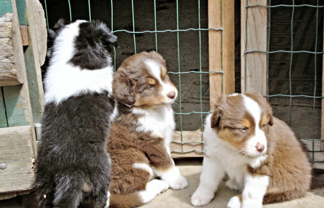 Photo d'illustration Photo d'illustration