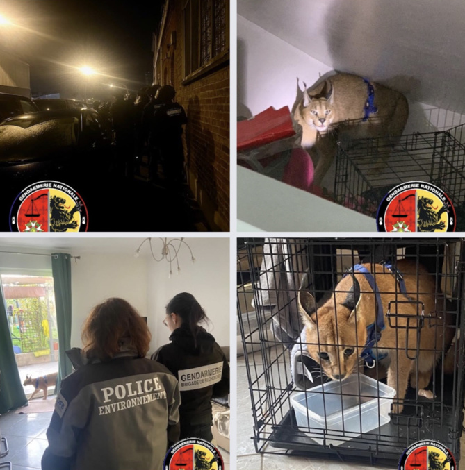 Capture Facebook Gendarmerie du Nord Capture Facebook Gendarmerie du Nord