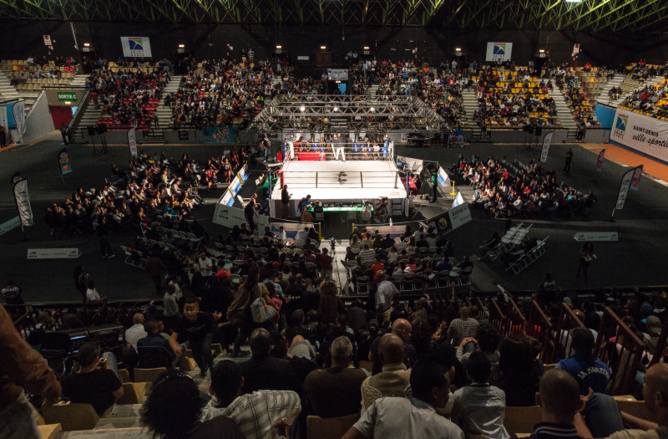 Zoom sur Manu Zoom sur Manu