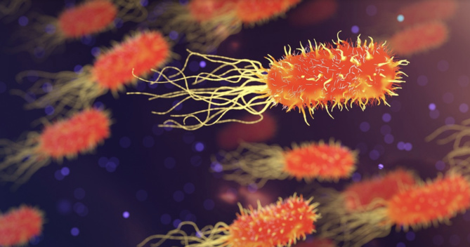 Les personnes se curant le nez à risque de développer démence et Alzheimer Les personnes se curant le nez à risque de développer démence et Alzheimer