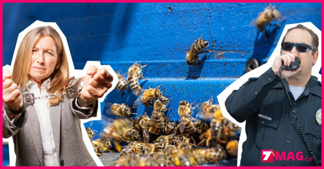 Condamnée pour avoir lâché un essaim d'abeilles sur des policiers Condamnée pour avoir lâché un essaim d'abeilles sur des policiers