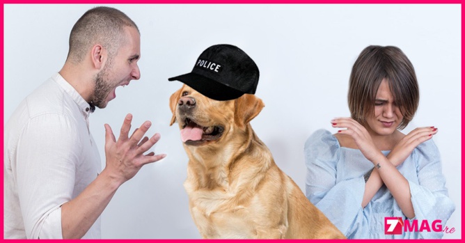 En pleine dispute, il mord un chien de police pendant qu’une femme frappe le policier En pleine dispute, il mord un chien de police pendant qu’une femme frappe le policier