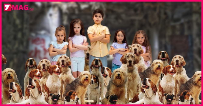 Ils laissent leurs sept enfants enfermés avec 35 chiens dans des conditions "répugnantes" Ils laissent leurs sept enfants enfermés avec 35 chiens dans des conditions "répugnantes"