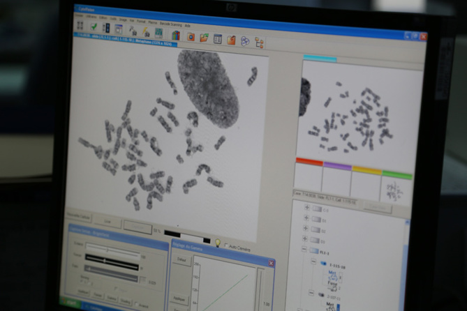 Un don de 5000 Euros pour la recherche médicale Un don de 5000 Euros pour la recherche médicale
