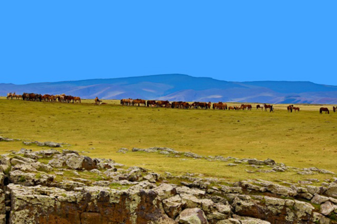 Zone Australe sur Antenne Réunion. <br>Mongolie: vivre comme les Nomades Zone Australe sur Antenne Réunion. <br>Mongolie: vivre comme les Nomades