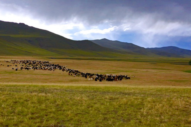 Zone Australe sur Antenne Réunion. <br>Mongolie: vivre comme les Nomades Zone Australe sur Antenne Réunion. <br>Mongolie: vivre comme les Nomades