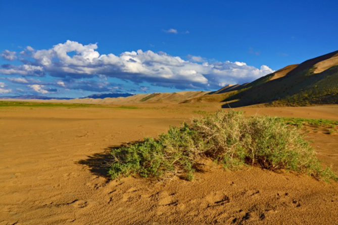 Zone Australe sur Antenne Réunion. <br>Mongolie: Voyage Solidaire de Motoland Aventure Zone Australe sur Antenne Réunion. <br>Mongolie: Voyage Solidaire de Motoland Aventure
