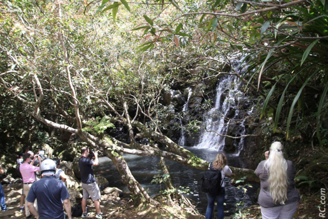 Ile Maurice <br>Vers le million de touristes? Ile Maurice <br>Vers le million de touristes?