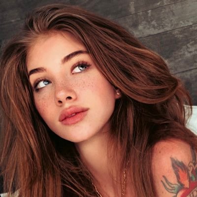 Photo de profil Coconut Kitty sur Twitter @illicit69kitty Photo de profil Coconut Kitty sur Twitter @illicit69kitty