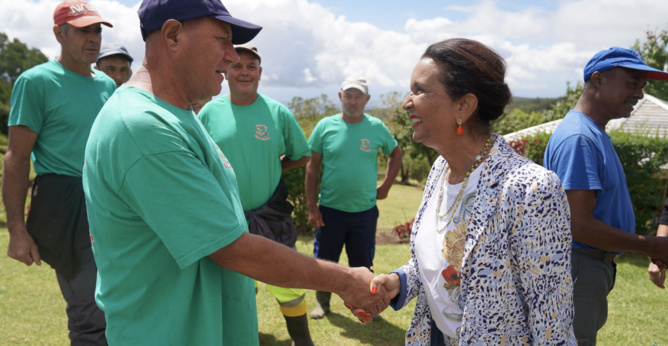 Emplois verts Emplois verts