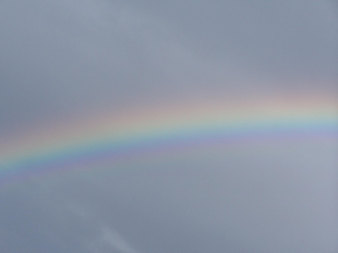 L'horoscope et le bon conseil de la semaine du 27 mars L'horoscope et le bon conseil de la semaine du 27 mars