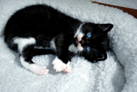 Photo d'archives Photo d'archives