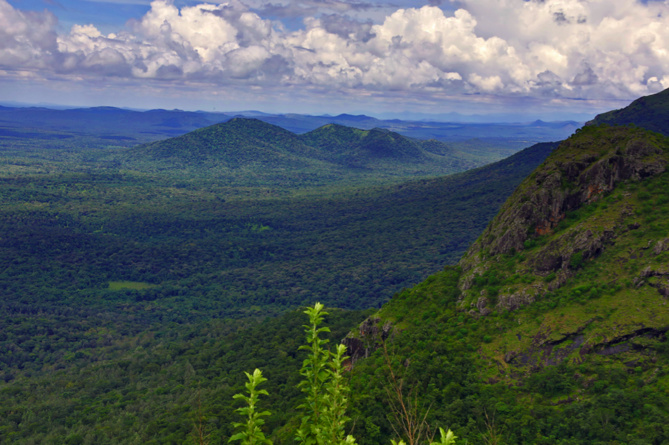 Zone Australe sur Antenne Réunion. <br>Inde du Sud: Région du Tamil Nadu Zone Australe sur Antenne Réunion. <br>Inde du Sud: Région du Tamil Nadu